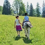 农家乐 Ramsbergerhof 拉姆绍达赫斯坦
