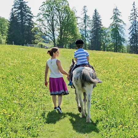 Farm stay Ramsbergerhof Ramsau am Dachstein